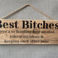 Handmade wooden sign (Best Bitches here's to bonding over alcohol, tolerating idiots and keeping each other sane)