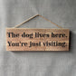 Handmade wooden sign - The dog lives here. You're just visiting.