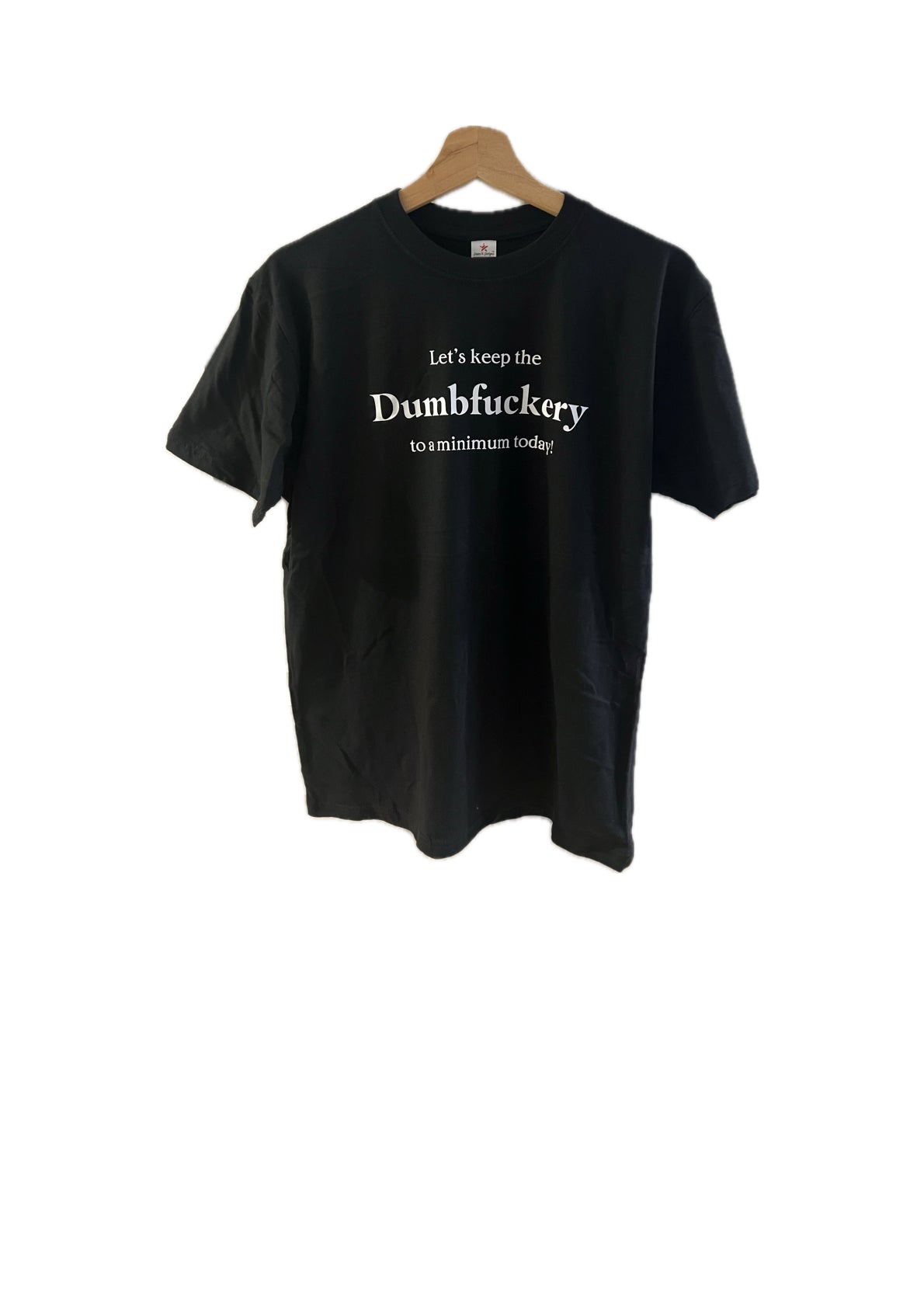 Adults short sleeve funny T-shirt (Let's keep the Dumbfuckery to a minimum today)