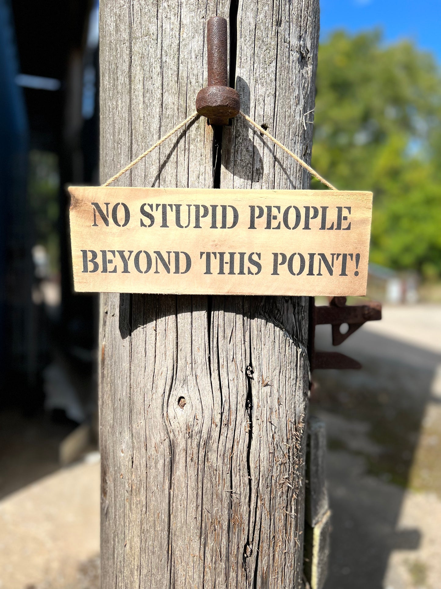 Handmade wooden sign - (NO STUPID PEOPLE BEYOND THIS POINT!)