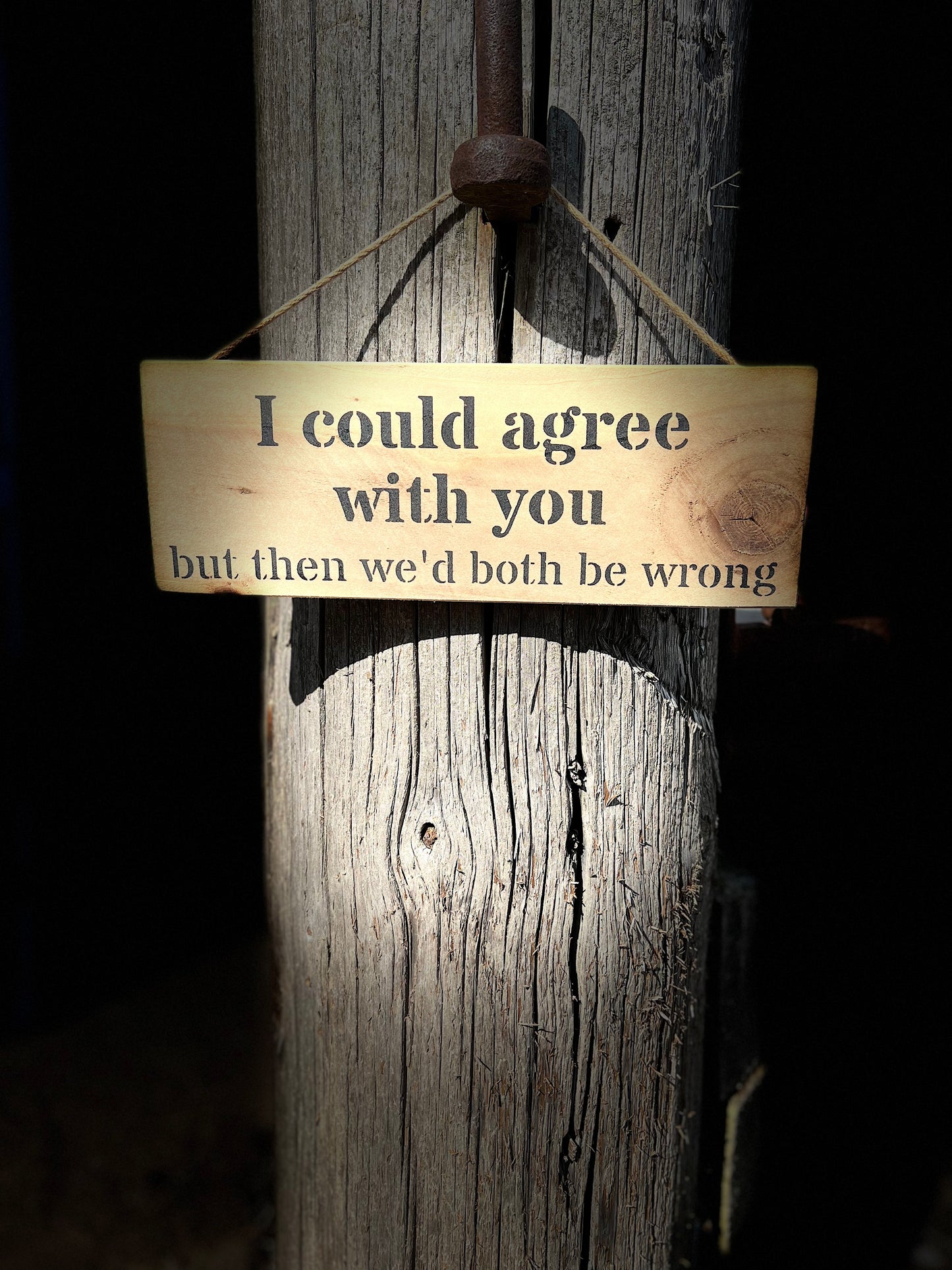 Handmade wooden sign - (I could agree with you but then we'd both be wrong)