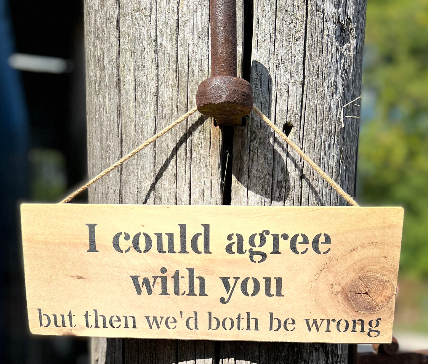 Handmade wooden sign - (I could agree with you but then we'd both be wrong)