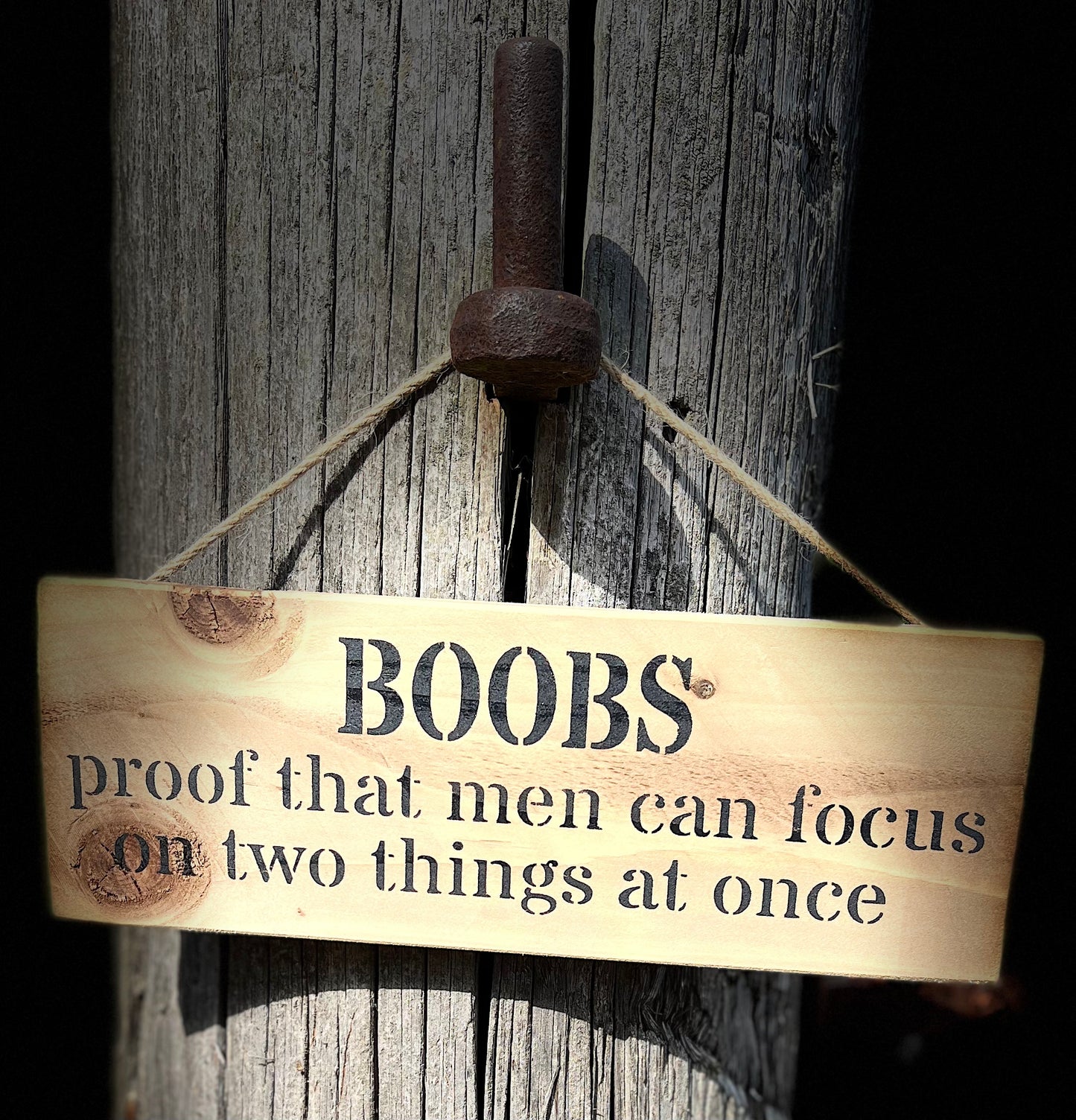 Handmade wooden sign (BOOBS proof that men can focus on two things at once)