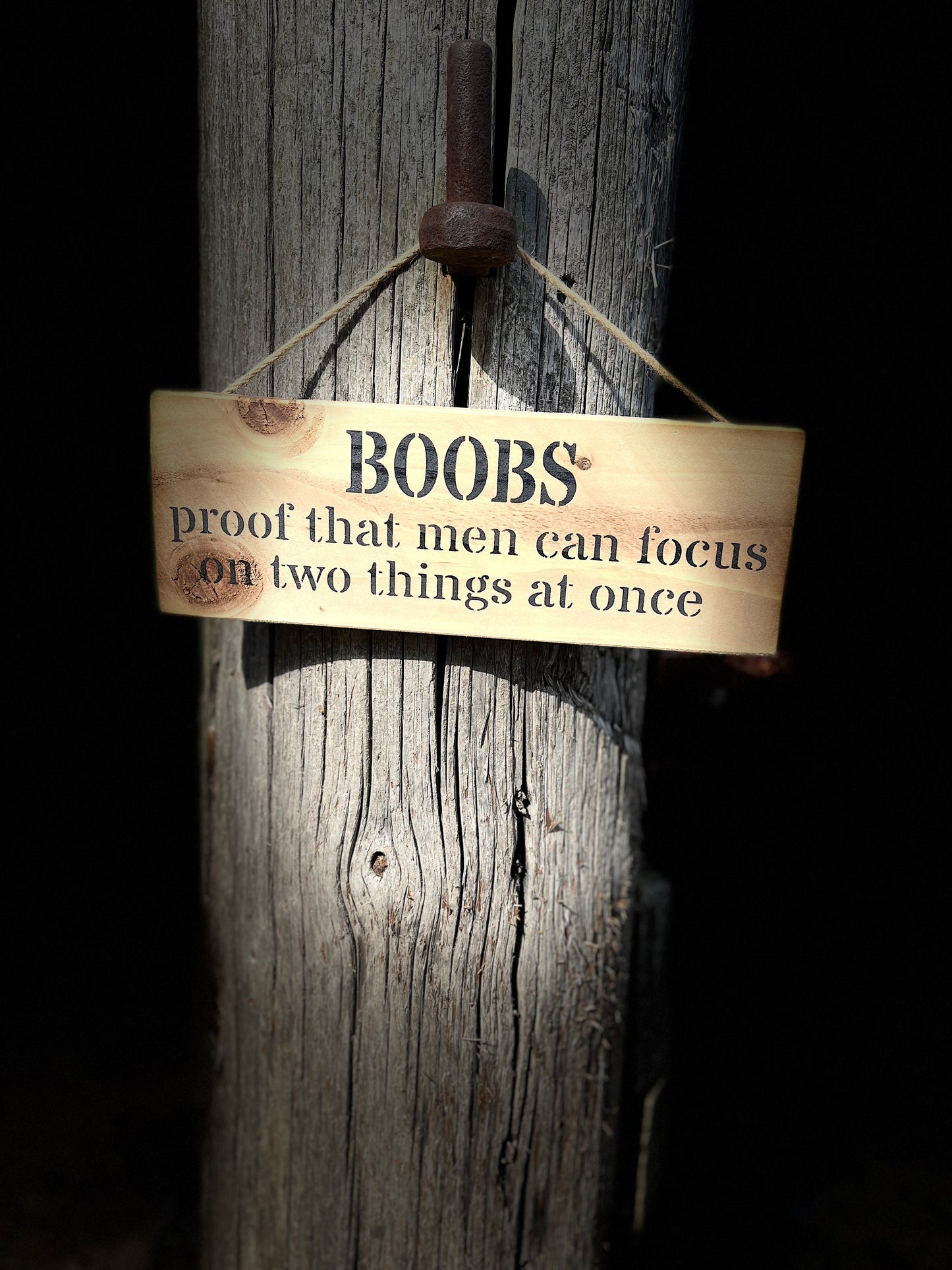 Handmade wooden sign (BOOBS proof that men can focus on two things at once)