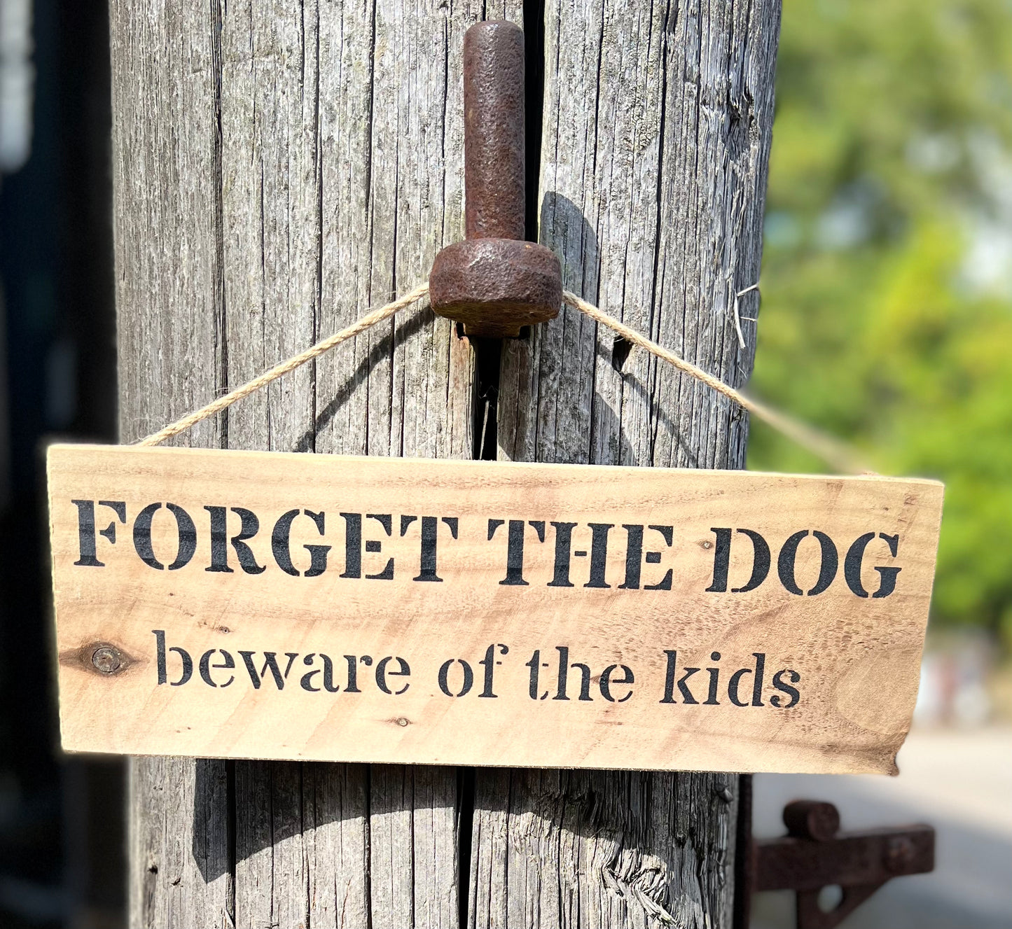 Handmade wooden sign - (FORGET THE DOG beware of the kids)