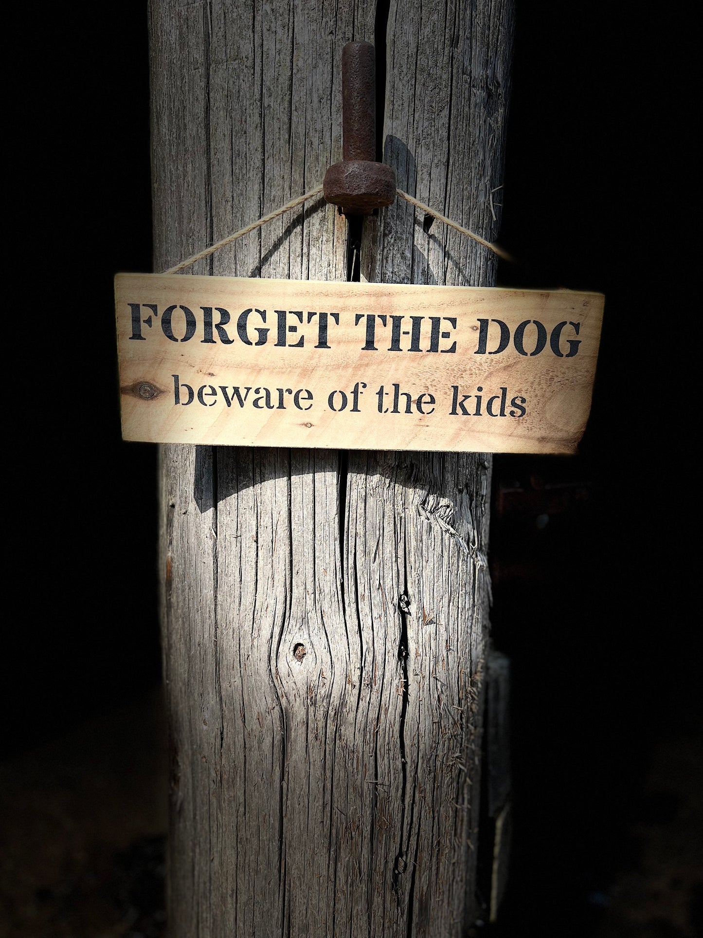 Handmade wooden sign - (FORGET THE DOG beware of the kids)