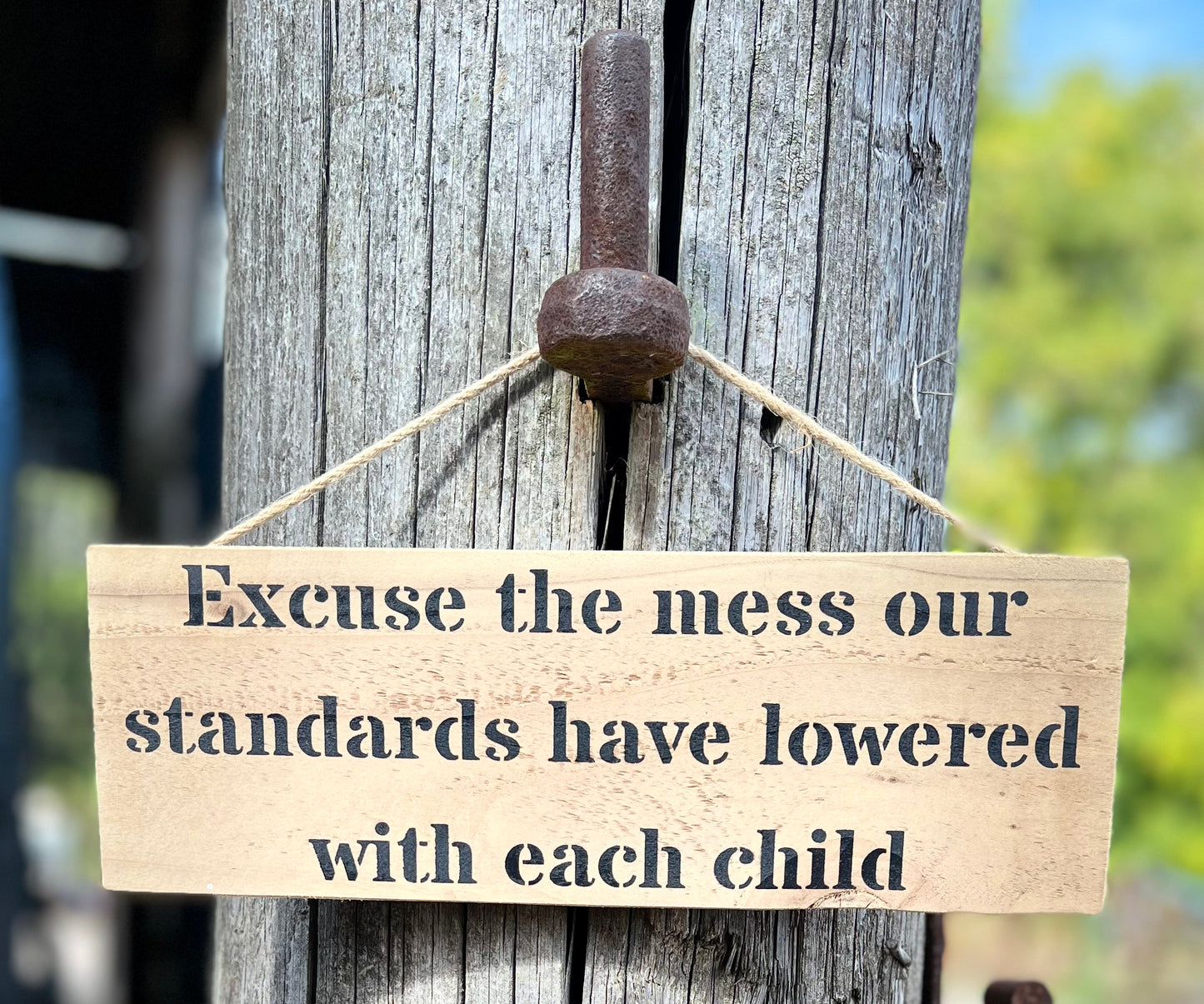 Handmade wooden sign - (Excuse the mess our standards have lowered with each child)