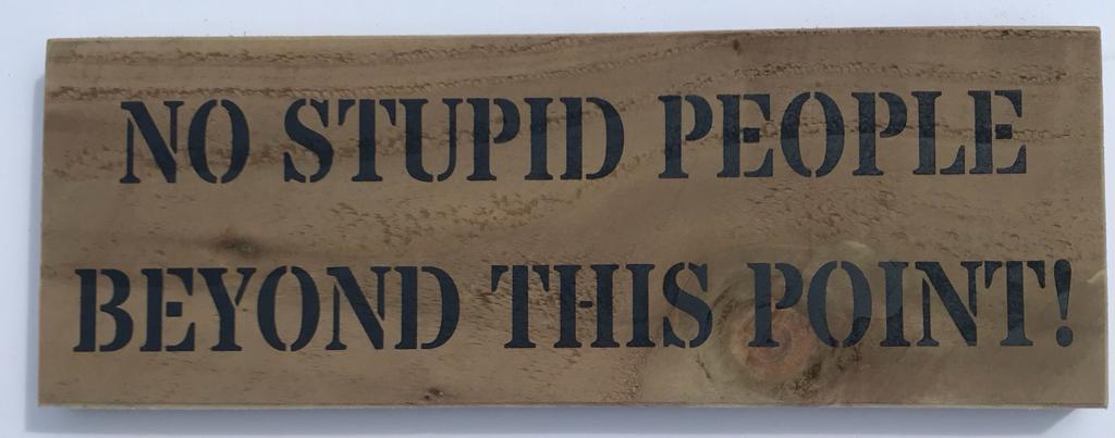 Handmade wooden sign - (NO STUPID PEOPLE BEYOND THIS POINT!)